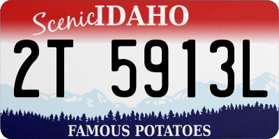 ID license plate 2T5913L