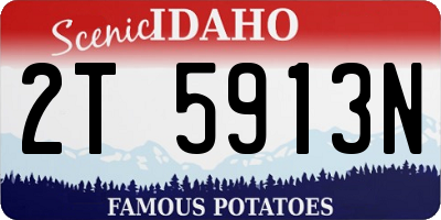 ID license plate 2T5913N