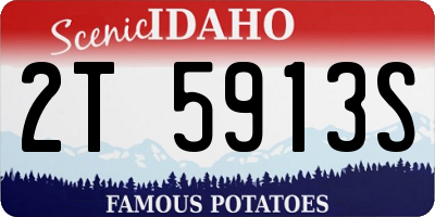 ID license plate 2T5913S