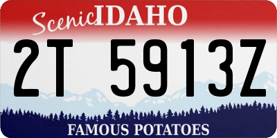 ID license plate 2T5913Z