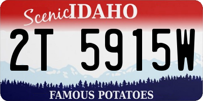ID license plate 2T5915W