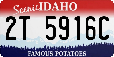 ID license plate 2T5916C