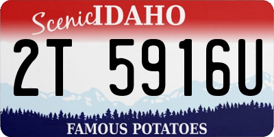 ID license plate 2T5916U