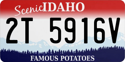 ID license plate 2T5916V