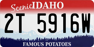 ID license plate 2T5916W