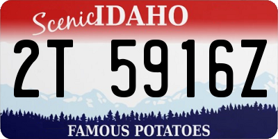 ID license plate 2T5916Z
