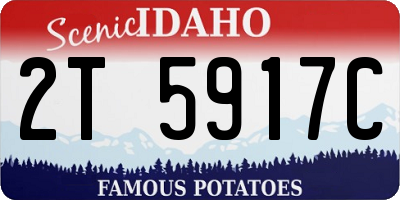 ID license plate 2T5917C