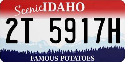 ID license plate 2T5917H