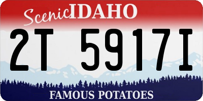 ID license plate 2T5917I
