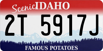 ID license plate 2T5917J