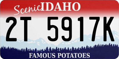 ID license plate 2T5917K