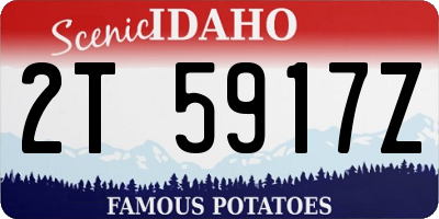 ID license plate 2T5917Z