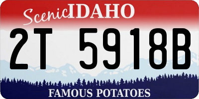 ID license plate 2T5918B