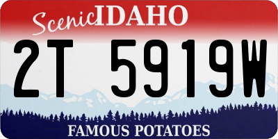 ID license plate 2T5919W