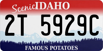 ID license plate 2T5929C