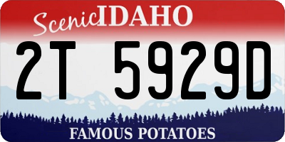 ID license plate 2T5929D