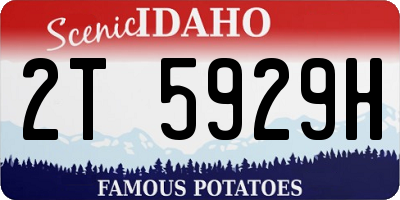 ID license plate 2T5929H