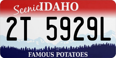 ID license plate 2T5929L