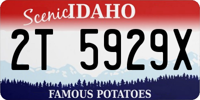 ID license plate 2T5929X