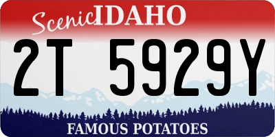 ID license plate 2T5929Y