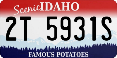 ID license plate 2T5931S