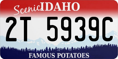 ID license plate 2T5939C