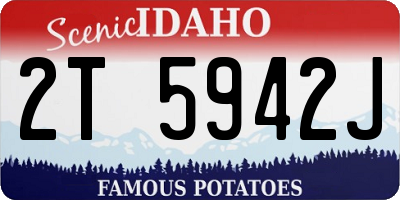 ID license plate 2T5942J