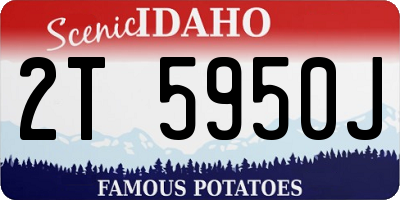 ID license plate 2T5950J