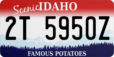 ID license plate 2T5950Z