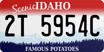 ID license plate 2T5954C