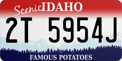 ID license plate 2T5954J