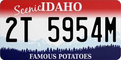 ID license plate 2T5954M