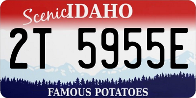 ID license plate 2T5955E
