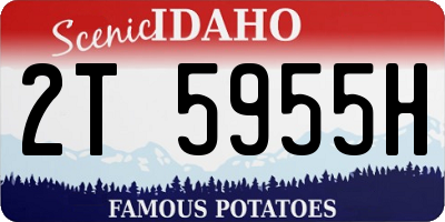 ID license plate 2T5955H