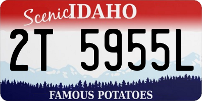 ID license plate 2T5955L