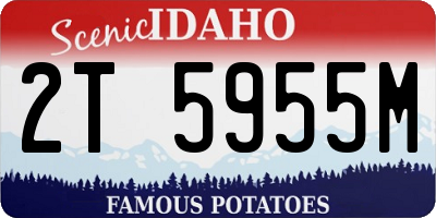 ID license plate 2T5955M