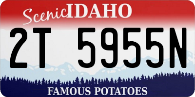 ID license plate 2T5955N