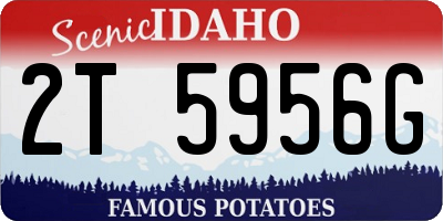 ID license plate 2T5956G