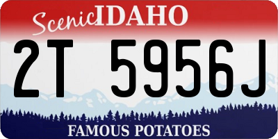 ID license plate 2T5956J
