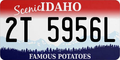 ID license plate 2T5956L