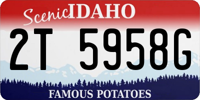 ID license plate 2T5958G