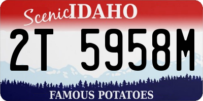 ID license plate 2T5958M