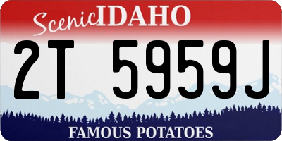 ID license plate 2T5959J