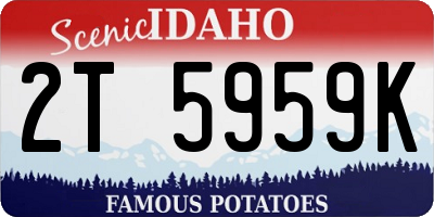 ID license plate 2T5959K