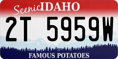 ID license plate 2T5959W