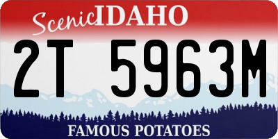 ID license plate 2T5963M