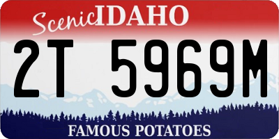 ID license plate 2T5969M