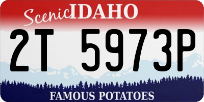 ID license plate 2T5973P