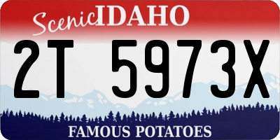 ID license plate 2T5973X
