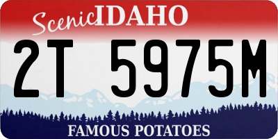ID license plate 2T5975M